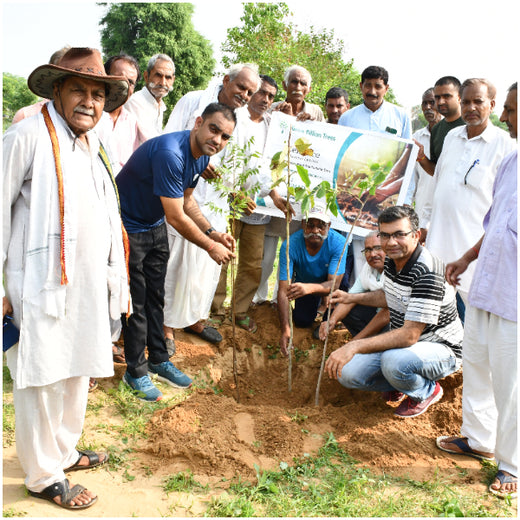 Reliance Industries Initiative: Community Tree Plantation for a Greener Future – 6 months