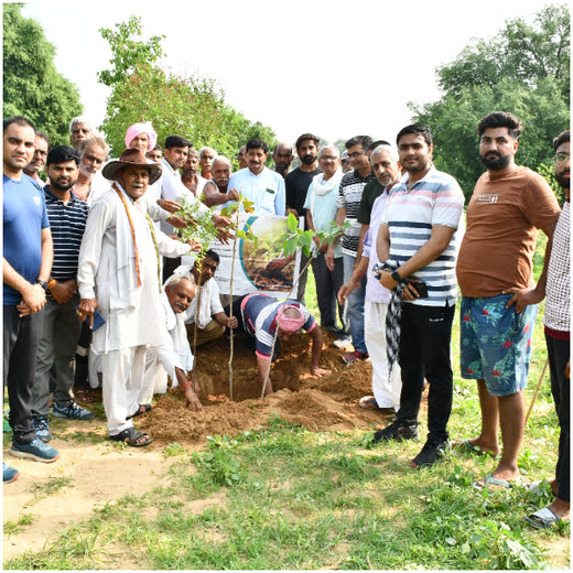 Reliance Industries Initiative: Community Tree Plantation for a Greener Future – 6 months