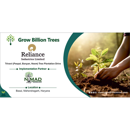Reliance Industries Initiative: Community Tree Plantation for a Greener Future – 6 months