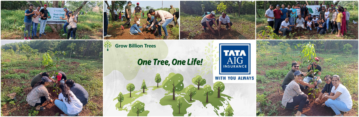 "TATA AIG's Green Initiative in Pune: Nurturing Urban Forests Beyond Insurance"