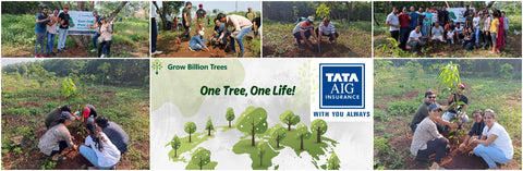 TATA AIG's Green Initiative: From Insurance to Ecosystems