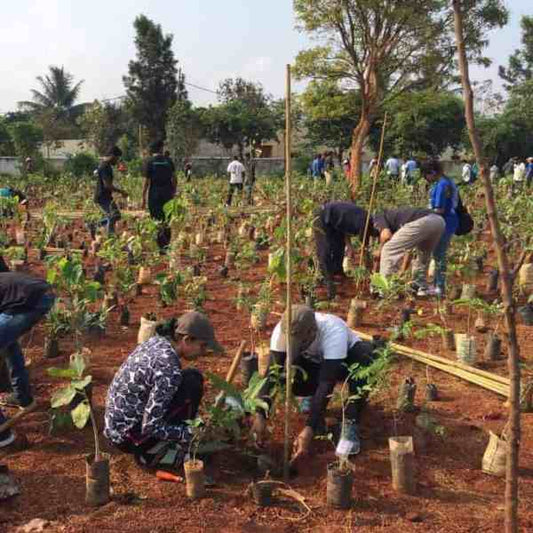 Trees for a Greener Tomorrow - by Habitat India