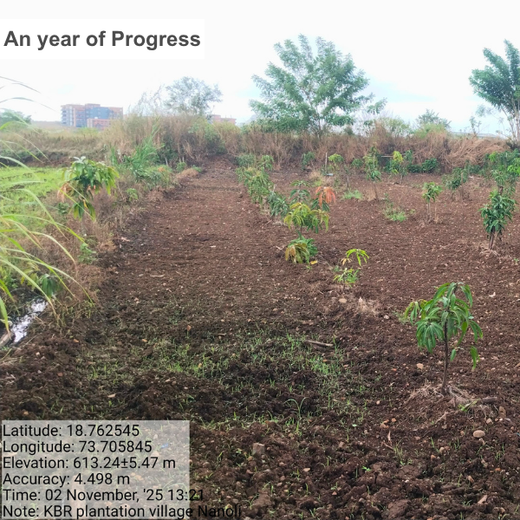 Rooted in Teamwork: KBR's Employee Engagement through Tree Plantation – 6 months
