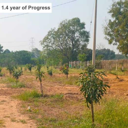 Dr. Shilpi Reddy Foundation & KIMS Hospital: A Tree for Each Girl Born – 6 months