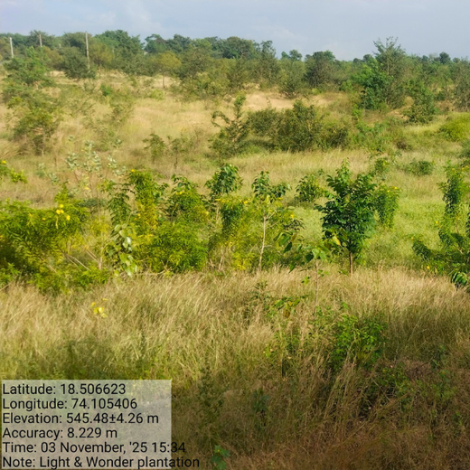 Building a Greener Future: Light & Wonder's Urban Forest Initiative for Sustainability – 2 years