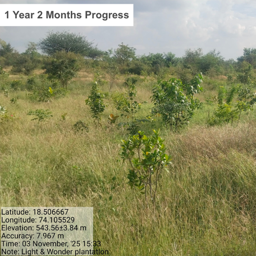 Building a Greener Future: Light & Wonder's Urban Forest Initiative for Sustainability – 2 years