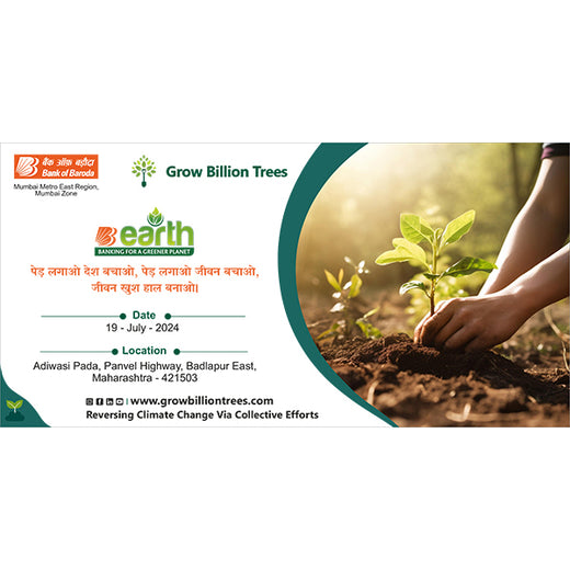 A Century and Beyond: Bank of Baroda's Green Celebration for 117 Years – Planting
