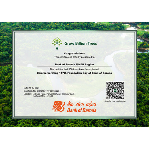 A Century and Beyond: Bank of Baroda's Green Celebration for 117 Years – Planting