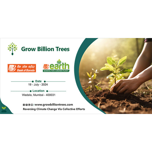 Bank of Baroda’s MMCR Urban Forest Initiative: A Green Milestone for 117th Foundation Day – Planting