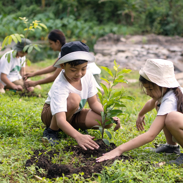 CSR Tree Plantation – Grow Billion Trees