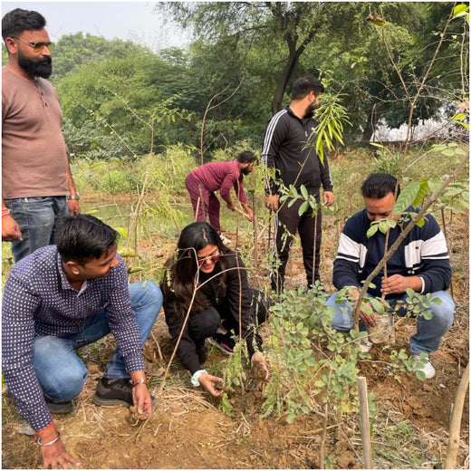 ECSO Global Pvt Ltd: Fostering a Greener Future with Urban Forests – Planting