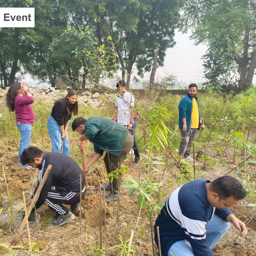 ECSO Global Pvt Ltd: Fostering a Greener Future with Urban Forests – Planting