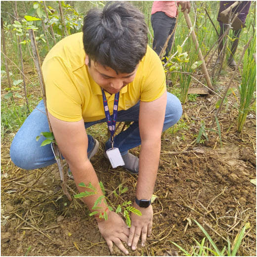 Max Life Insurance's Urban Forest Initiative: A Breath of Fresh Air for Delhi – Planting