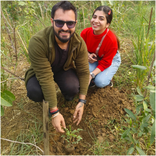 Max Life Insurance's Urban Forest Initiative: A Breath of Fresh Air for Delhi – Planting