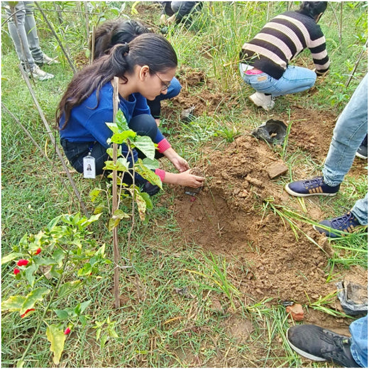 Max Life Insurance's Urban Forest Initiative: A Breath of Fresh Air for Delhi – Planting