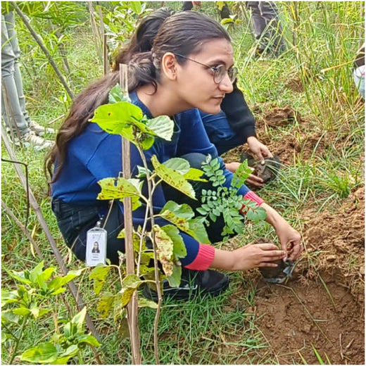 Max Life Insurance's Urban Forest Initiative: A Breath of Fresh Air for Delhi – Planting