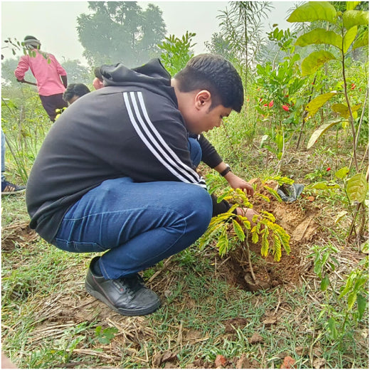 Max Life Insurance's Urban Forest Initiative: A Breath of Fresh Air for Delhi – Planting