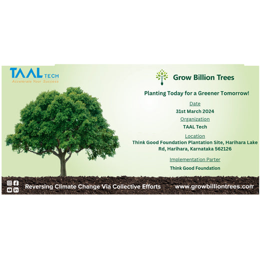 Blending Technology with Nature: TAAL Tech’s Agroforestry for a Sustainable Tomorrow – Planting