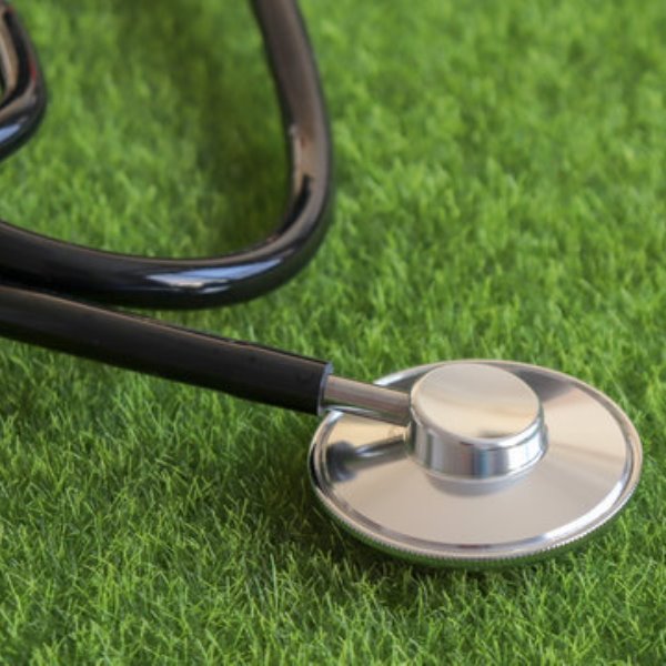 Doctor's Day Tree Plantation: Honor Healthcare Heroes – Grow Billion Trees