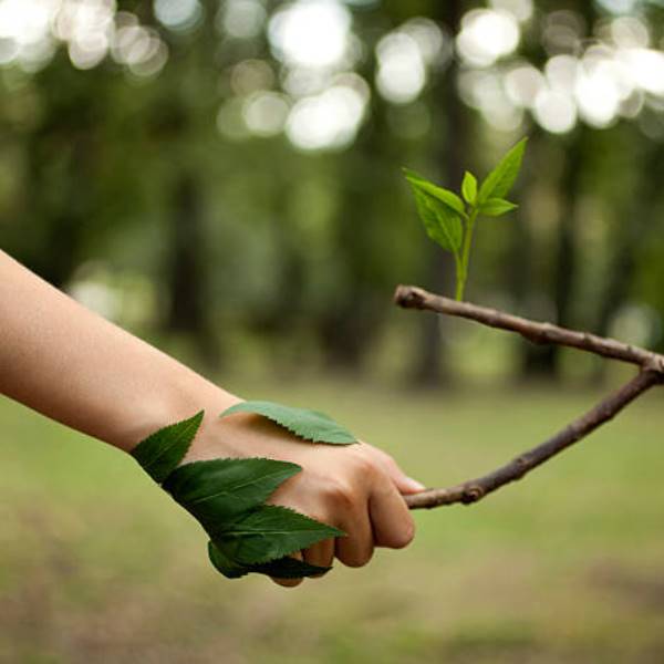 Trees for Friendship: Plant Together & Grow Unbreakable Bonds