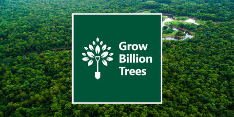 Grow Billon Trees - Carbon Neutral Meetings