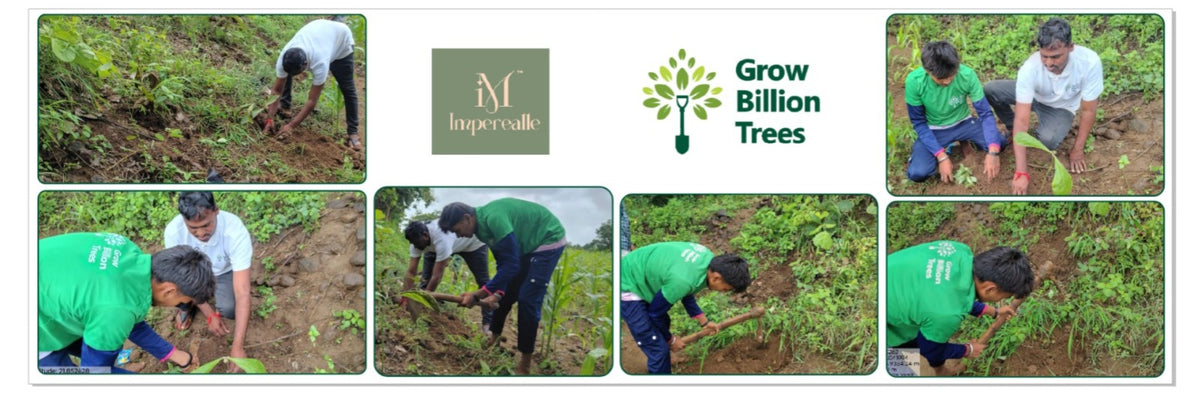 Imperealle: Skincare and Sustainability Rooted in Agroforestry