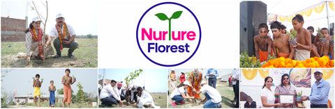 Nurture Florest - An Initiative by Mankind Pharma