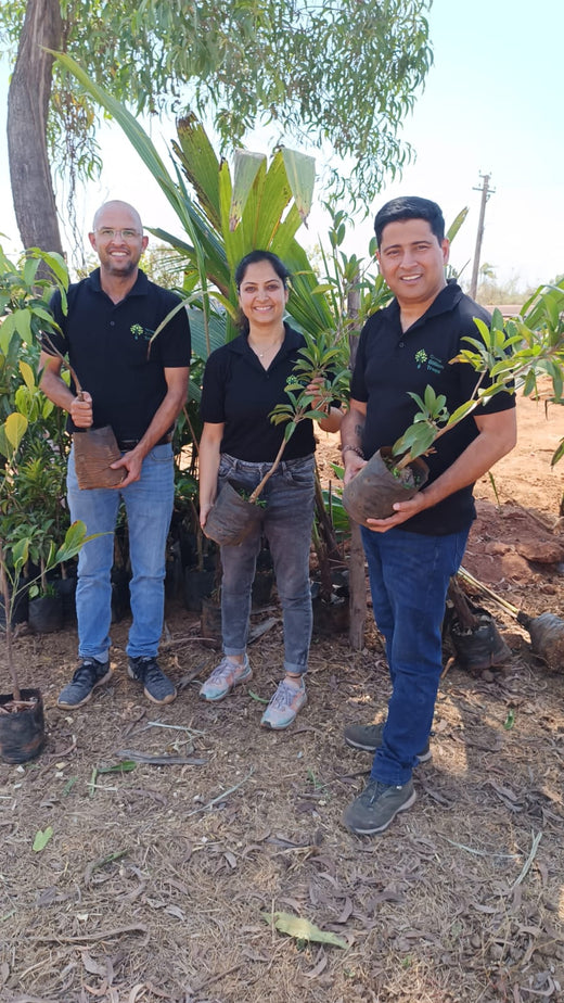 Grow Billon Trees - Carbon Neutral Meetings – Planting
