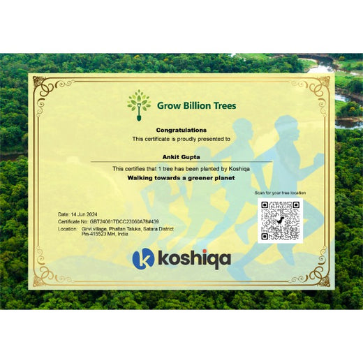 Koshiqa’s Agroforest Initiative: Nurturing Nature for Its Subscribers – Planting