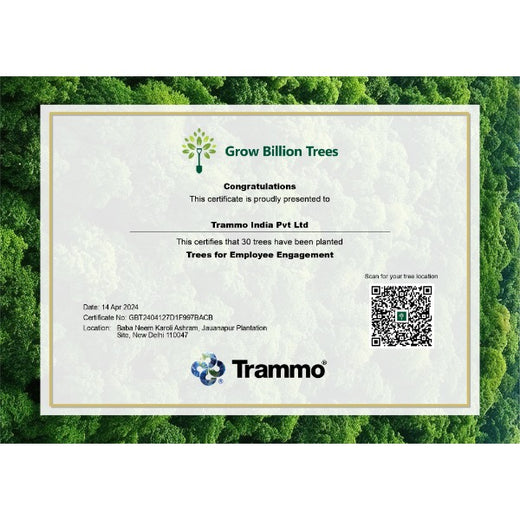 "Trammo Celebrates Earth Day with an Urban Forest Initiative to Engage Employees" – Planting