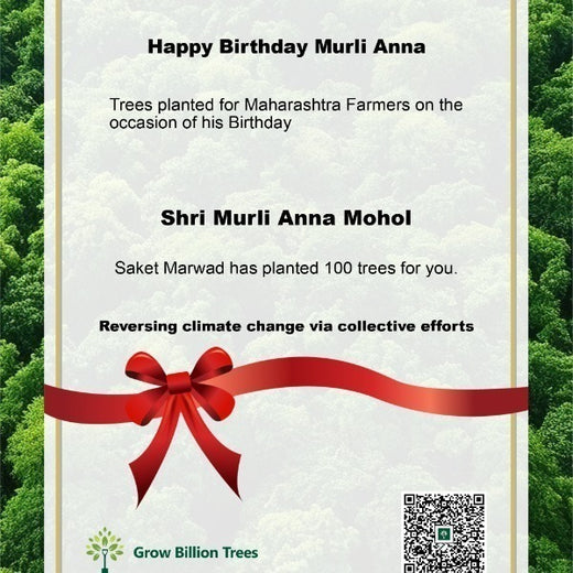 Shri Murlidhar Kisan Mohol’s Birthday Tree Plantation for Maharashtra – Planting