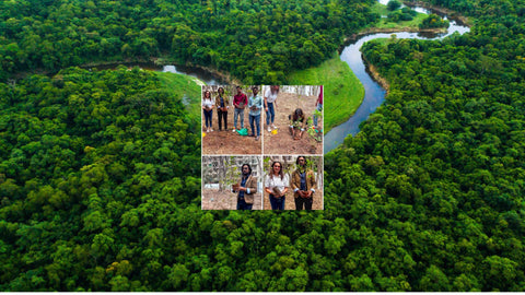 Celebrating Vishal Gore's Birthday: A Green Tribute with Grow Billion Trees