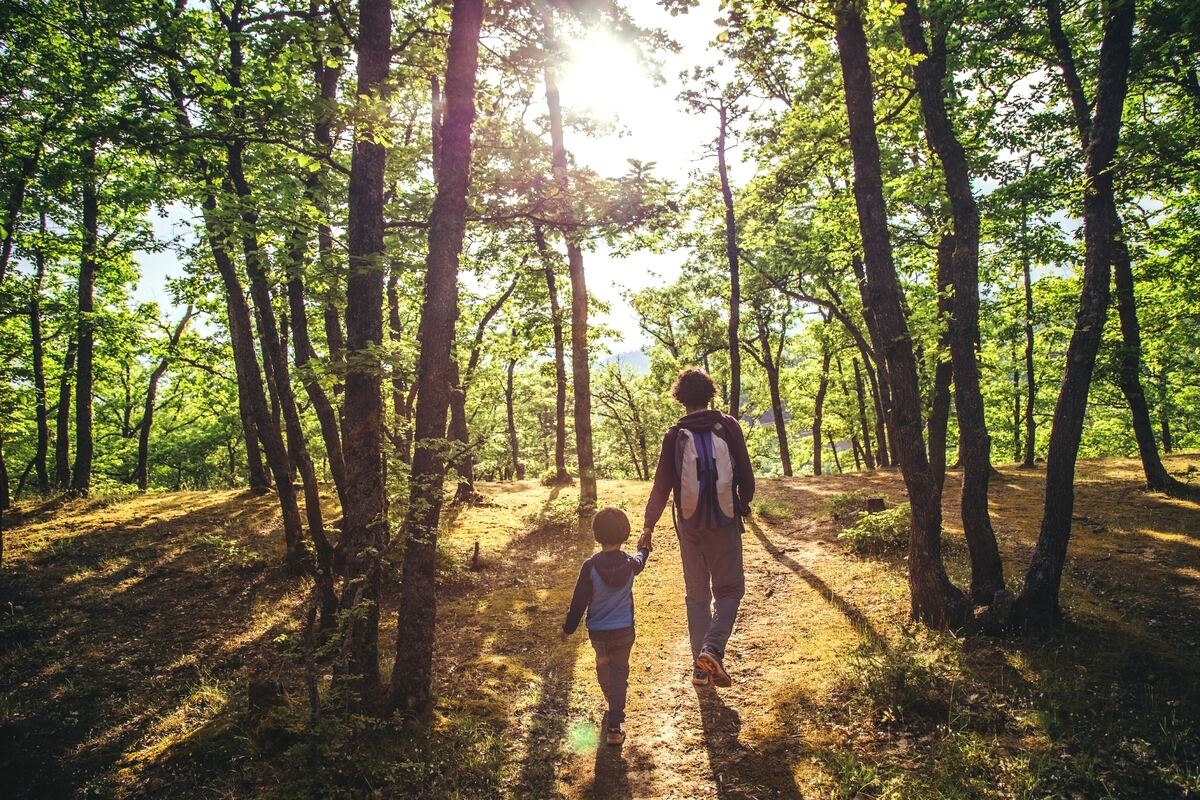 Parent and child walking through a sunlit urban forest