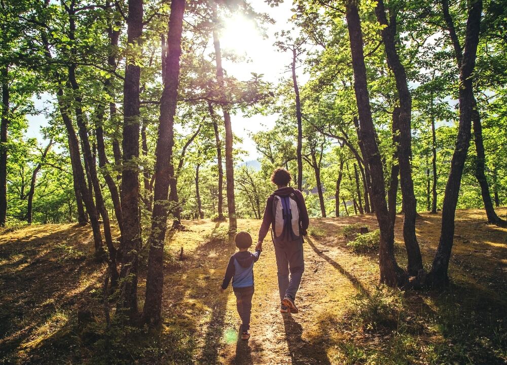 Parent and child walking through a sunlit urban forest