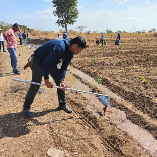 Azbil’s Agroforestry Action: Empowering Agroforests for a Sustainable Future – Planting