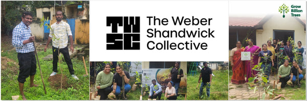 “Leafy Legacies: Weber Shandwick Bangalore’s Journey Toward Urban Sustainability”